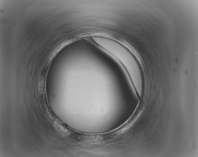 X0000085011001200703261150