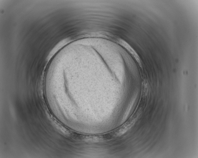 X0000085011002200703261150