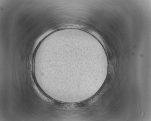 X0000085011003200703261150