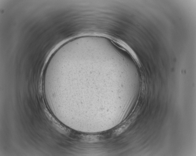 X0000085011004200703261150