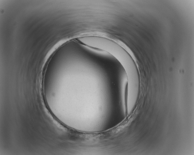 X0000085011005200703261150