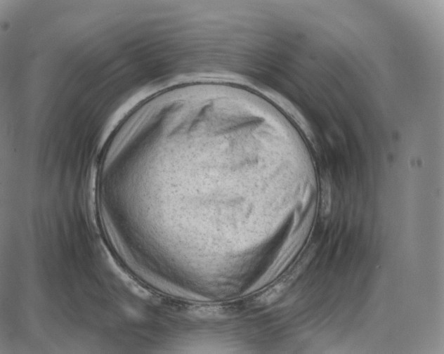 X0000085011006200703261150