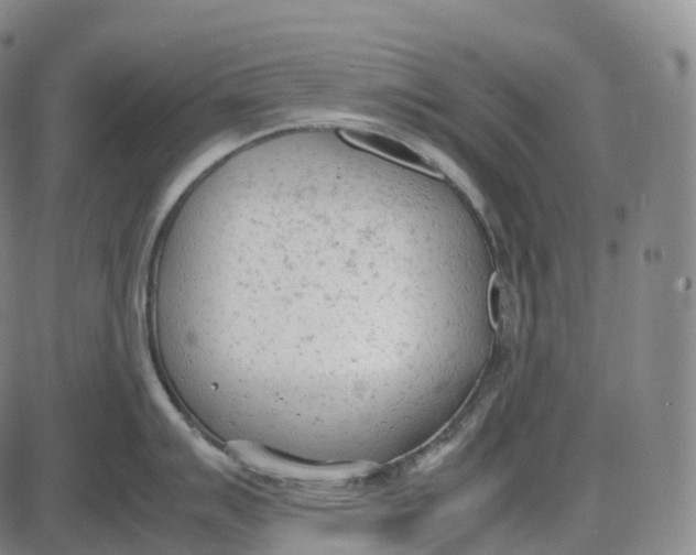 X0000085011007200703261150