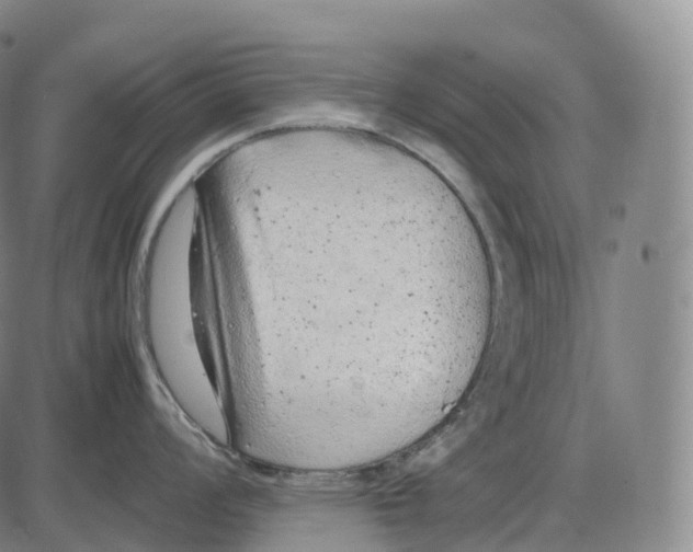 X0000085011008200703261150