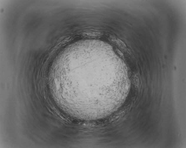 X0000085011009200703261149