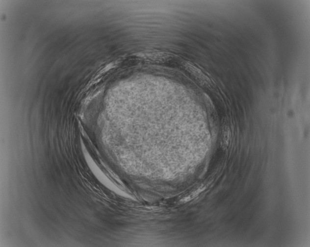 X0000085011010200703261149