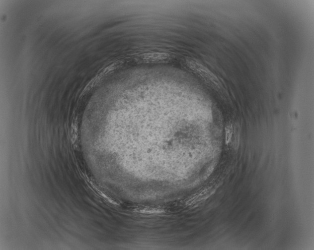 X0000085011011200703261149