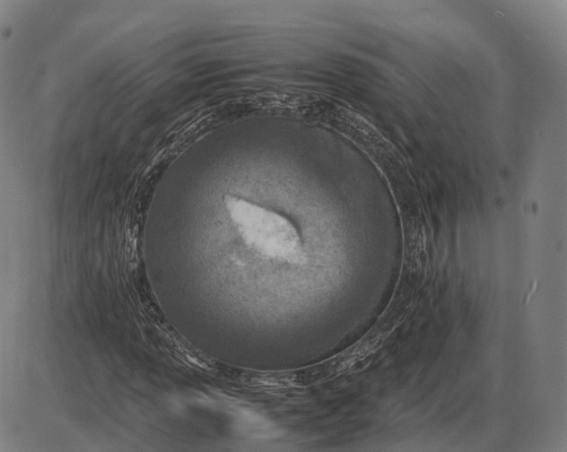 X0000085011013200703261149