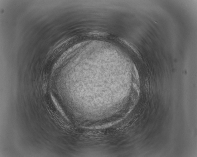 X0000085011015200703261149