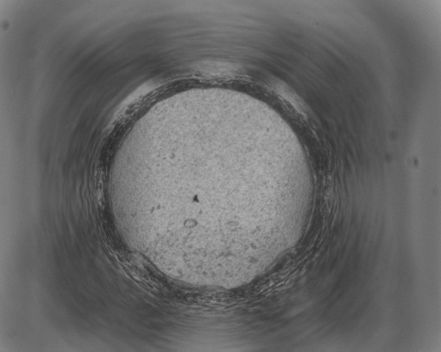 X0000085011016200703261149