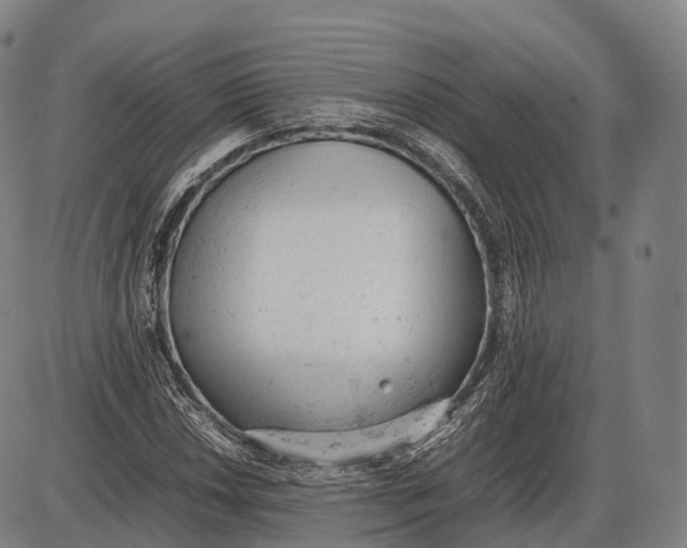 X0000085011018200703261149