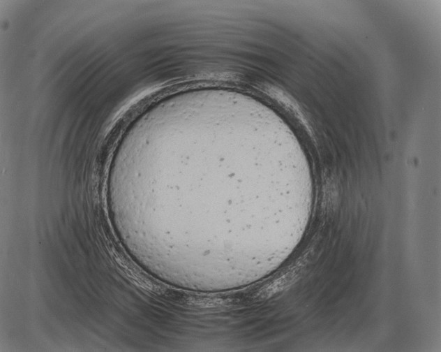 X0000085011019200703261149