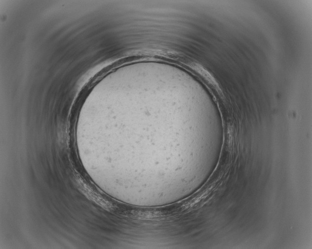 X0000085011020200703261149