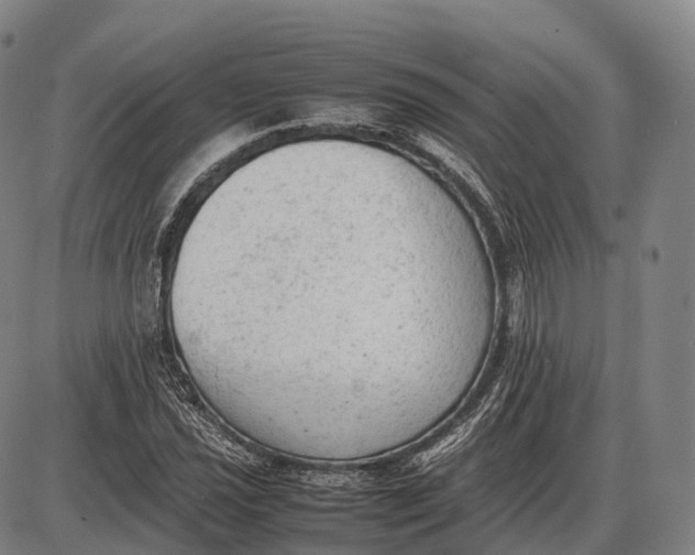 X0000085011021200703261149