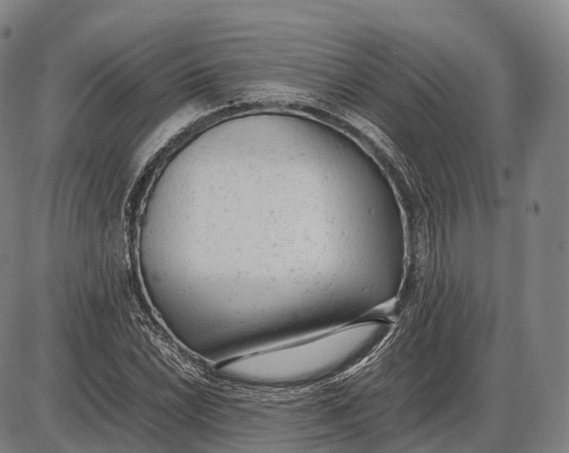 X0000085011022200703261149