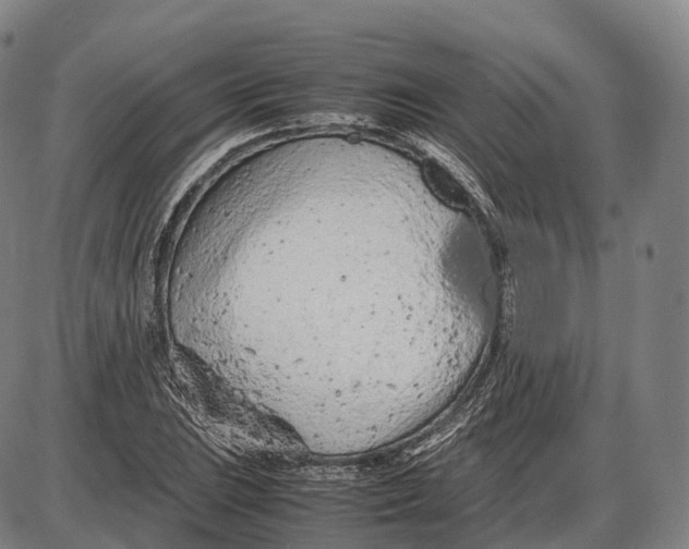 X0000085011023200703261149