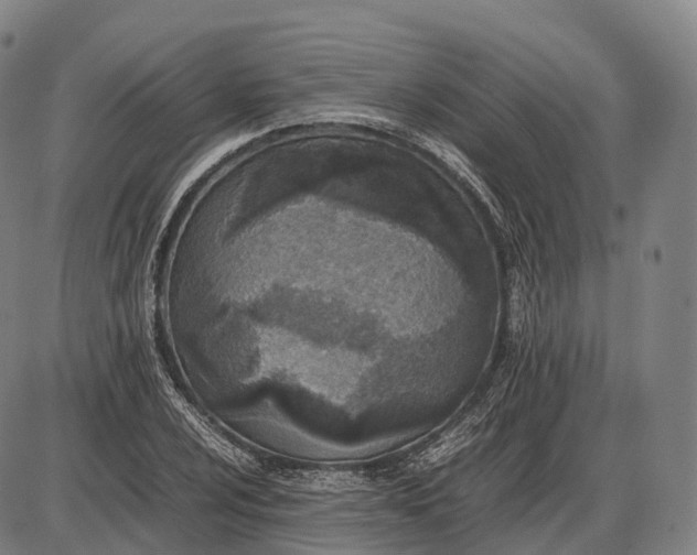 X0000085011024200703261149