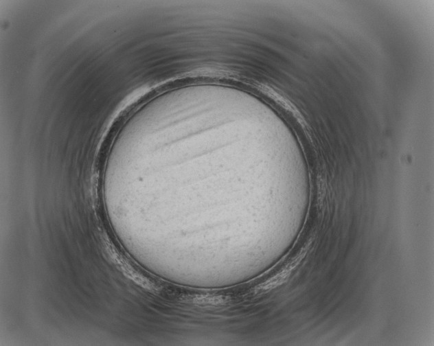 X0000085011029200703261149