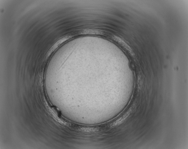 X0000085011033200703261149