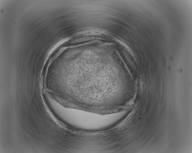 X0000085011034200703261149