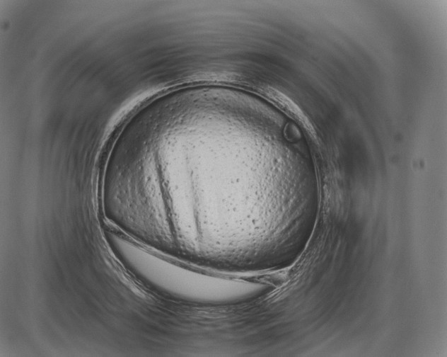 X0000085011035200703261149