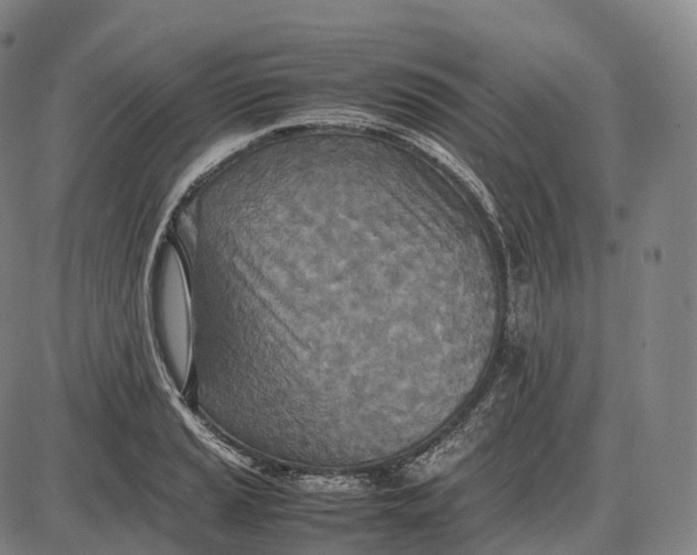 X0000085011037200703261149