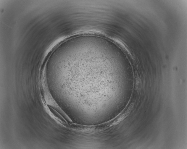 X0000085011038200703261149