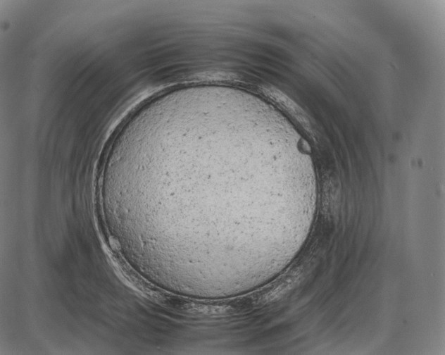 X0000085011039200703261149