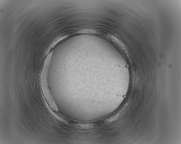 X0000085011041200703261149