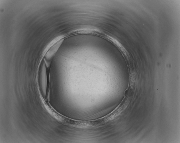 X0000085011042200703261149