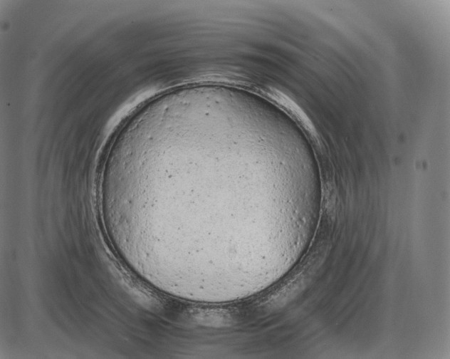 X0000085011043200703261149