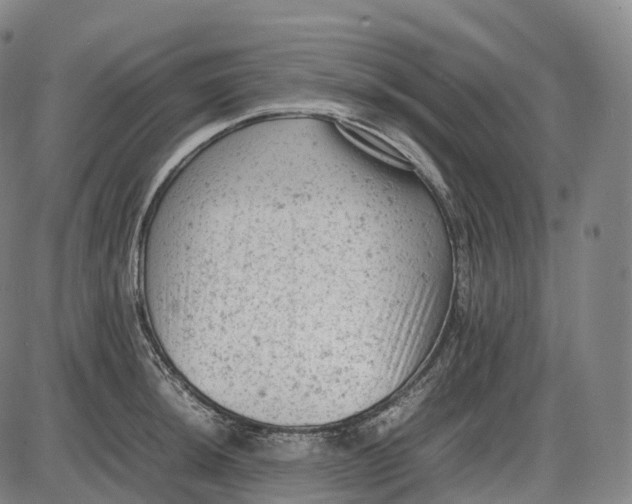 X0000085011044200703261149