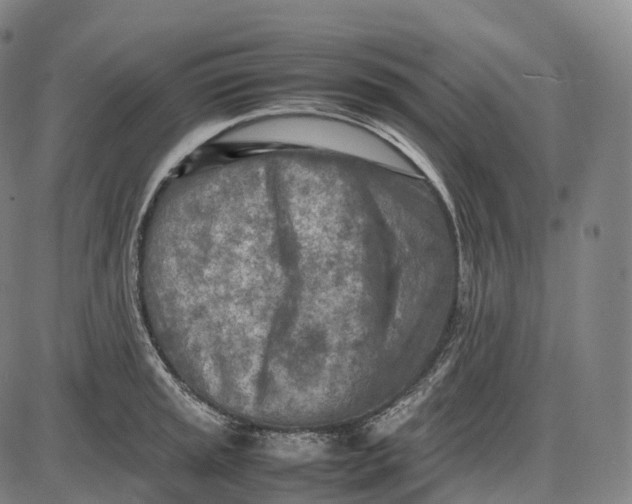 X0000085011045200703261149