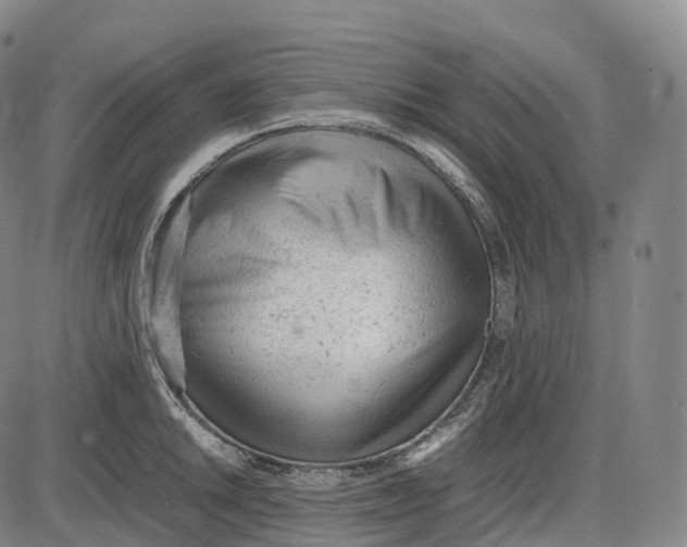 X0000085011046200703261150