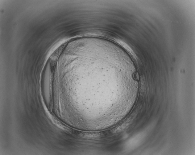 X0000085011047200703261150