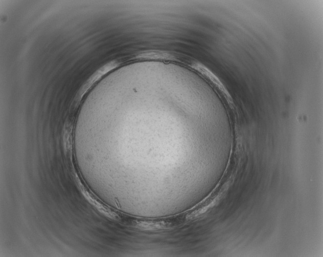 X0000085011049200703261150