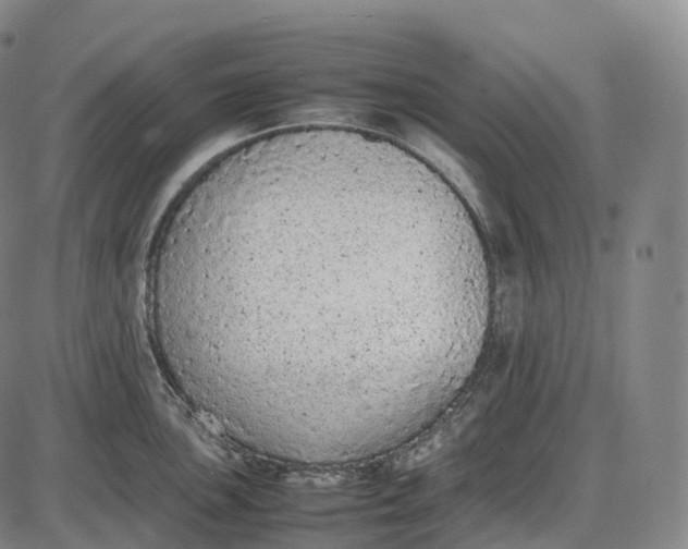 X0000085011051200703261150