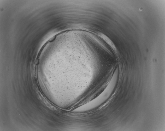 X0000085011052200703261150