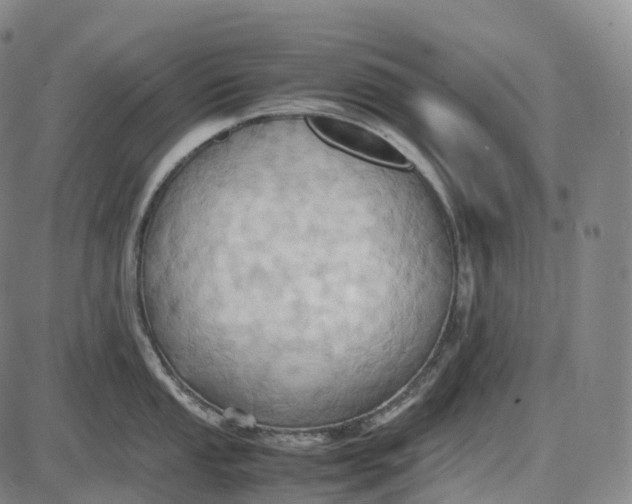 X0000085011053200703261150