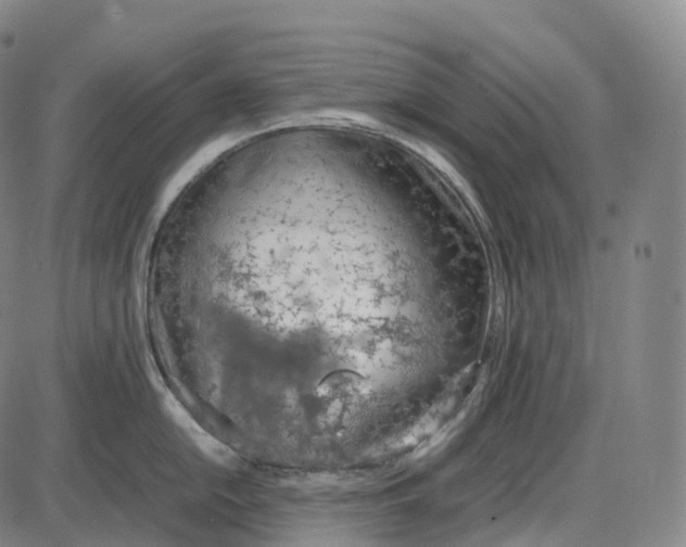 X0000085011054200703261150