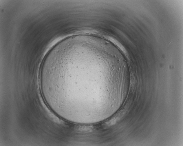 X0000085011055200703261150