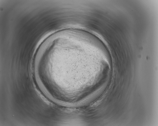 X0000085011056200703261150