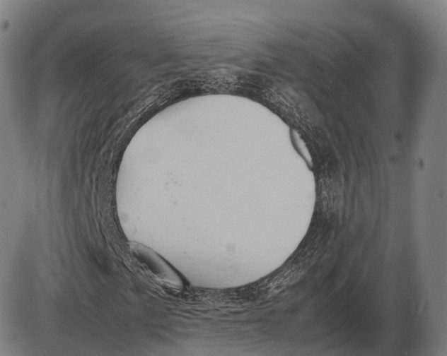 X0000085011057200703261149