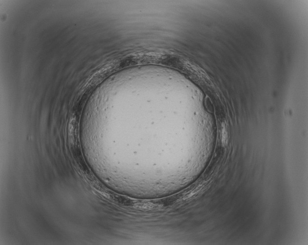 X0000085011059200703261149