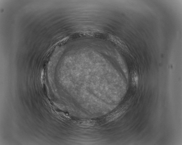 X0000085011060200703261149