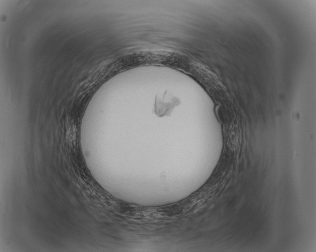 X0000085011061200703261149