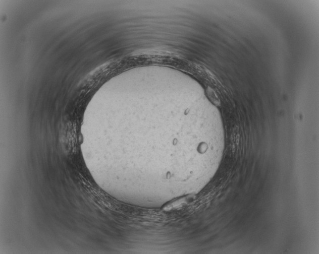 X0000085011062200703261149