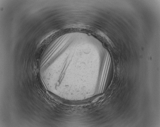 X0000085011064200703261149