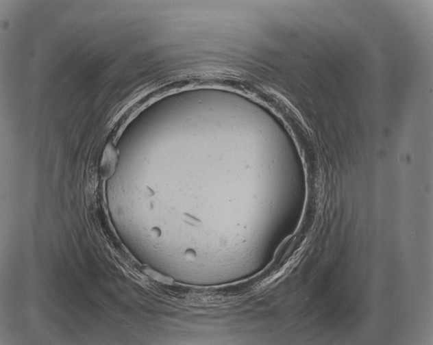 X0000085011065200703261149