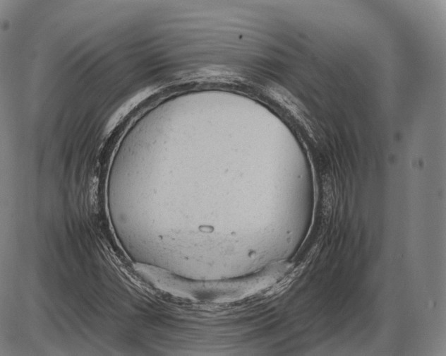 X0000085011066200703261149